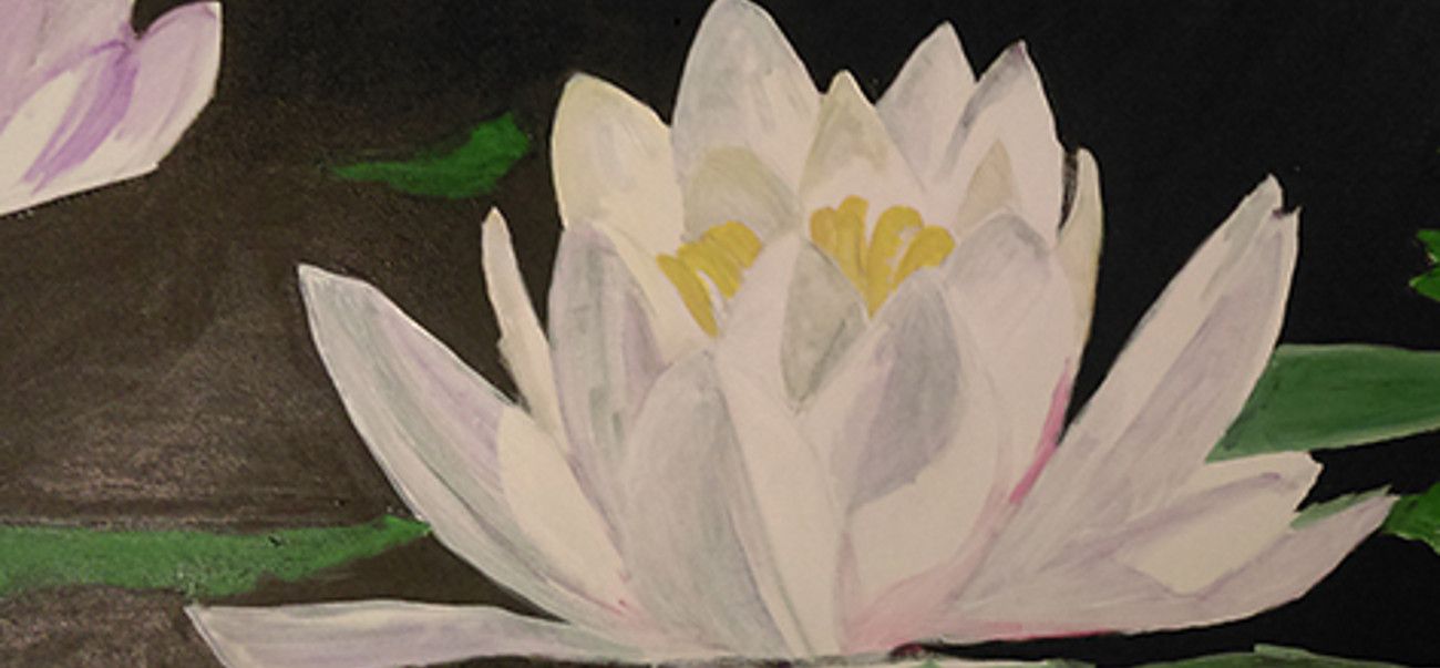 Flor de loto